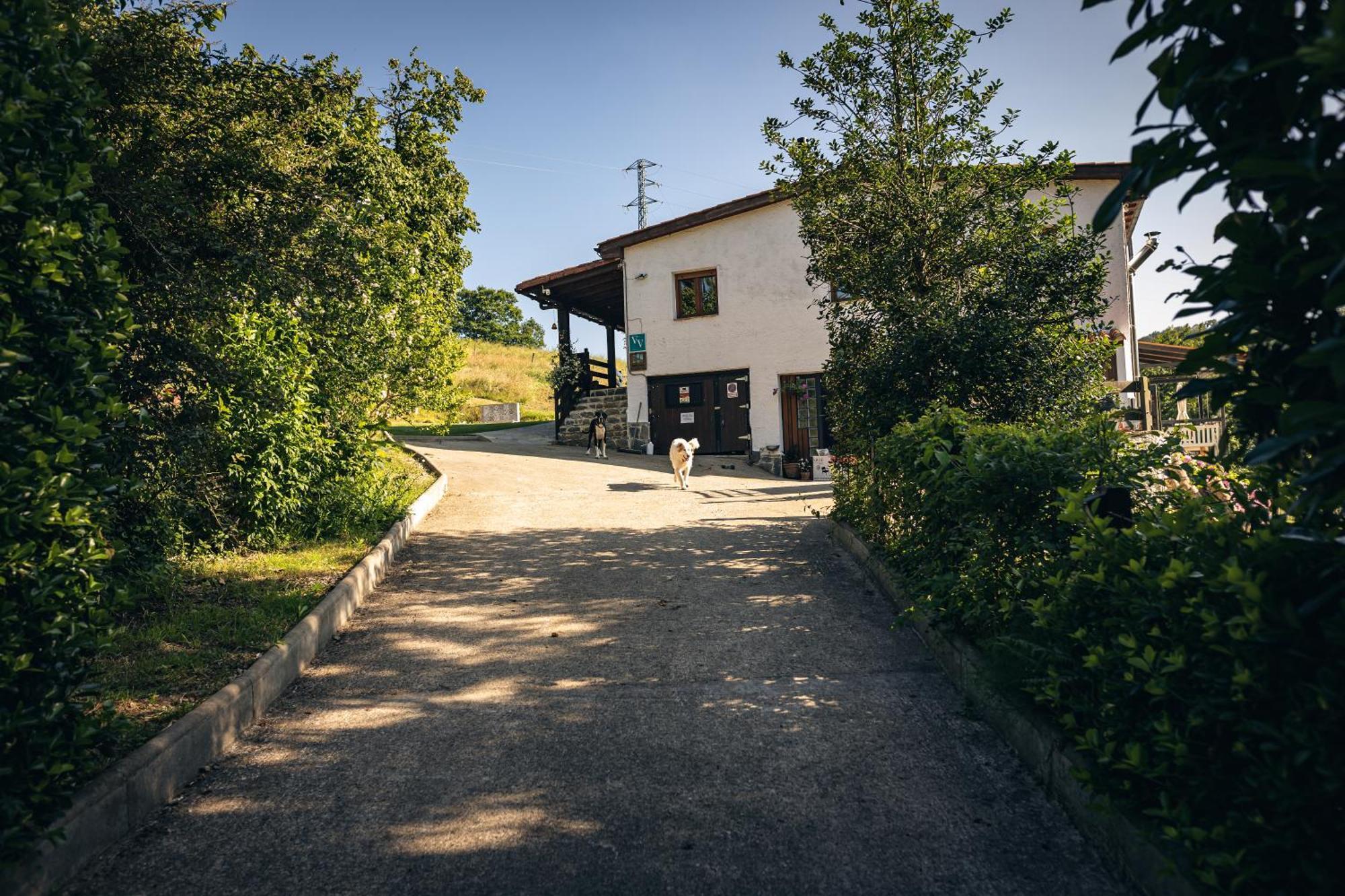 Finca La Naguada Casa Rural En Asturias Beloncio Exterior foto